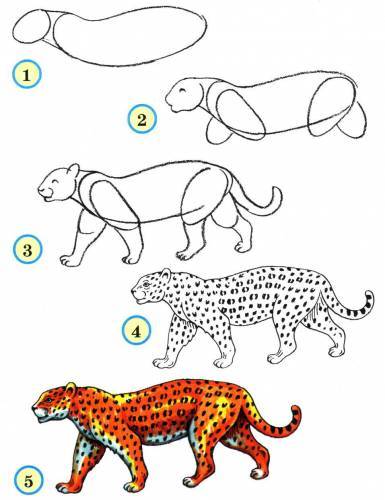 Картинки как рисовать животных африки !