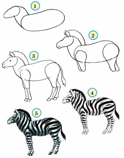 Картинки как рисовать животных африки !