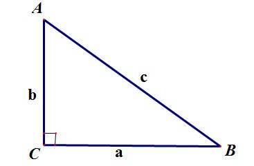 Построй один треугольник с прямым и один с тупым углом как это начертить