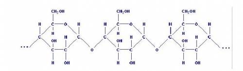 Молекула крахмала состоит из остатков: а) рибозы; б) a-глюкозы; в) b -глюкозы; г) дезоксирибозы