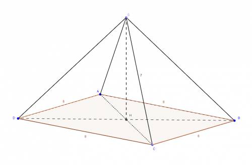 Основанием 4-хугольной пирамиды является прямоугольник со сторонами 6 и 8 см. боковое ребро пирамиды