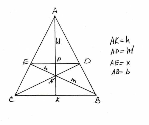 Вравнобедренном треугольнике abc через вершины основания c и b и точку n (n лежит на высоте, проведё