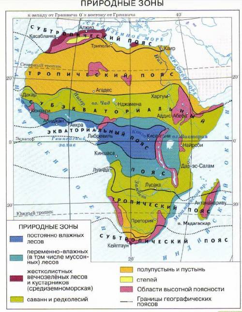 Природная зона африки .климатические пояса африки .почвы в природных зонах африки.растения в природн