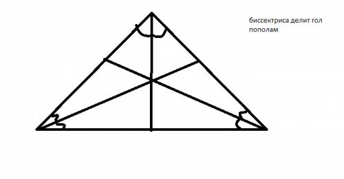 1)начертите треугольник с острыми углами. с чертёжного угольника и линейки проведите в нём высоты. п
