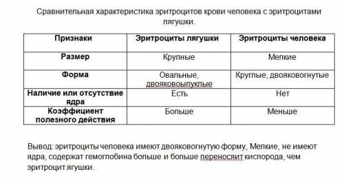 Лабороторная работа: строение клеток крови человека и лягушки: 1 рассмотрите микроприпорат крови ляг