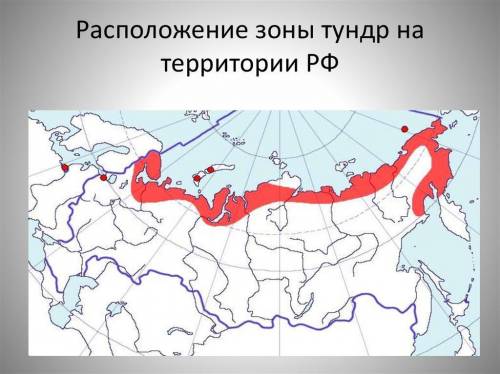 Какая суммарная радиация в тундре ?