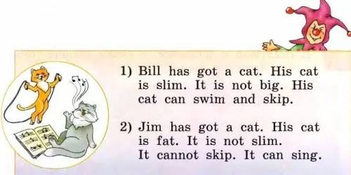 Прочитай рассказ и скажи какого цвета кот джима: 1)bill has got a cat. his cat is slim. it is not bi