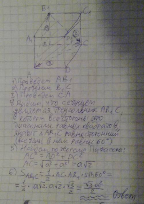 Ребро куба авсда1в1с1д1 равно а.постройте сечение куба,проходящее через точки в1,а.с и найдите его п