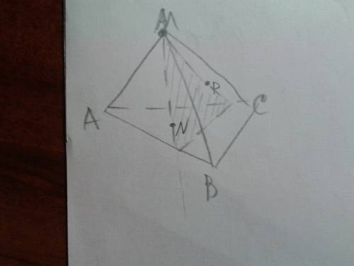 На построение сечений дан тетраэдр mabc через точку m и точку n принадлежащую грани amb и точку p пр