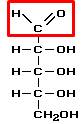 Сколько альдегидных групп - ch=o содержит молекула рибозы