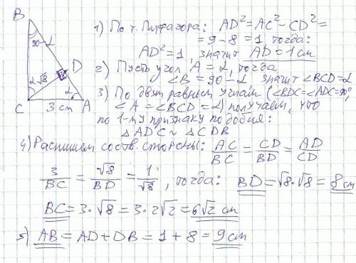 Дан прямоугольный треугольник ac=3 см cd=√8. найти: ab, bc, ad, bd