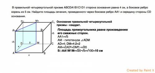 1. в правильной четырехугольной призме abcda1b1c1d1 сторона основания равна 4 см, а боковое ребро ко