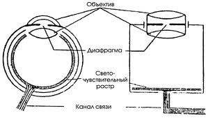 Человеческий глаз как оптическая система. кратко, не рефератом))