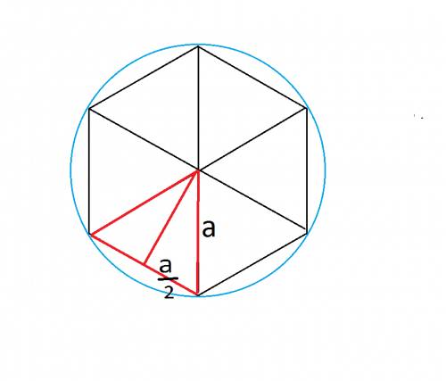 Найдите длину окружности если площадь вписанного в нее правильного шестиугольника равна см2
