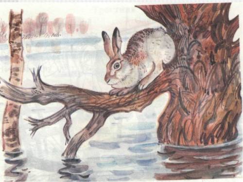 Главный герой картины художника а.комарова наводнение - заяц. опишите его : какие у него голова,