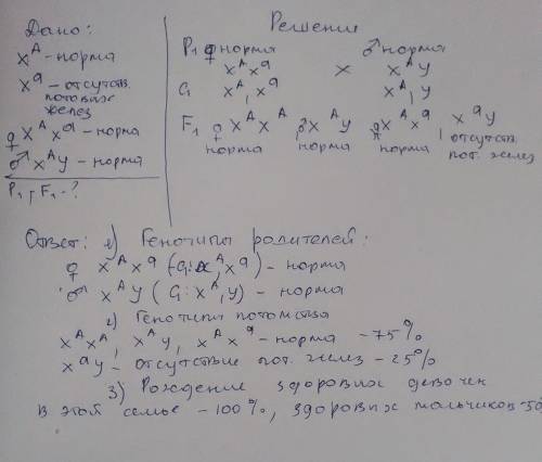 Отсутствие потовых желёз у человека наследуется как рецесивный признак сцепленный с х хромосомой,в с