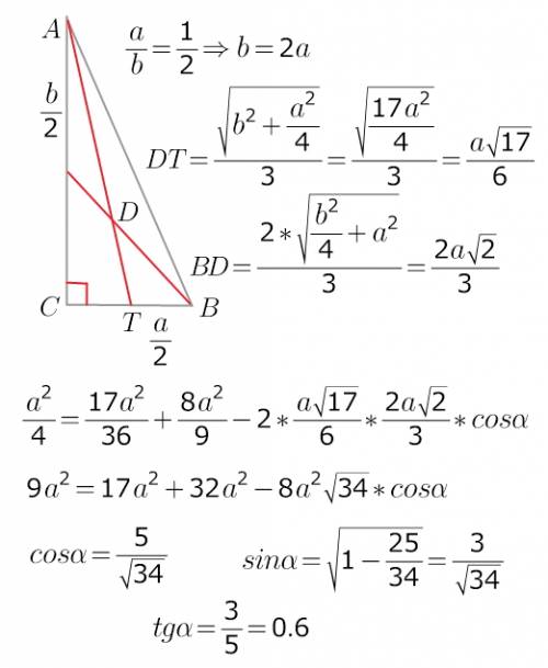Впрямоугольном треугольнике отношение катетов равно 0,5 . найти тангенс острого угла между медианами