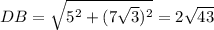 DB= \sqrt{5^2+(7 \sqrt{3})^2 } =2 \sqrt{43}