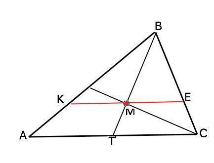 Вкаком отношении делит площадь треугольника прямая, проходящая через центр тяжести параллельно одной