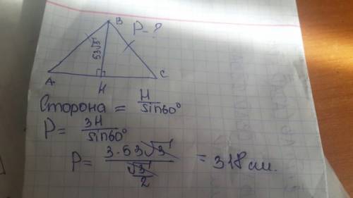 Треугольник абс - равносторонний, высота вн равна 53 корня из 3. найдите периметр треугольника. , !