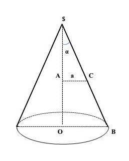 Знайдіть об'єм конуса, якщо кут між його твірною і висотою дорівнює альфа, а середина твірної віддал