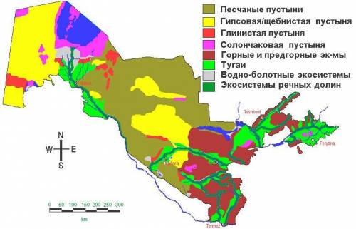 Природные зоны и их основные особенности узбекистана