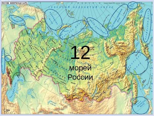 Перечислите основные особенности морей россии