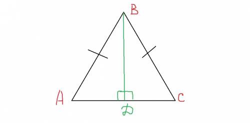 4.площадь треугольника abc=12cm2.de-средняя линия(d€ab,e€bc).найти площадь трапеции adec 5.в равнобе
