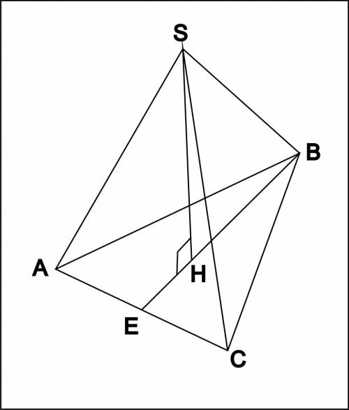 Вправильной трехугольной пирамиде боковая грань равна 14, а сторона основания равна9. найдите высоту
