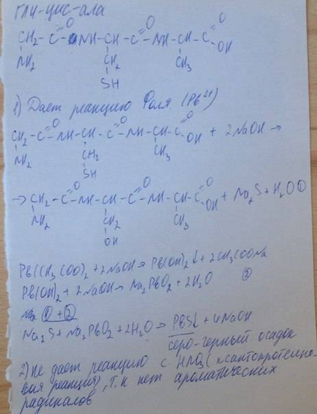 Какой из трипептидов глу-цис-ала или фен-лиз-лей обнаруживается качественной реакцией с: а) pb 2+ б)
