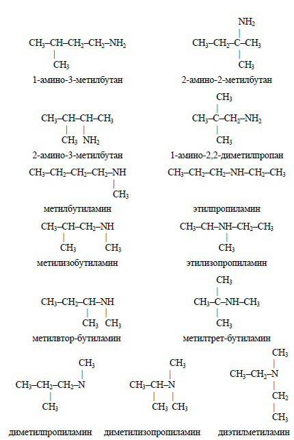 Напишите структурные формулы всех изомерных аминов состава с5h13n и назовите кто нибудь