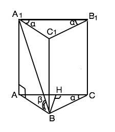 Основа прямої трикутної призми - рівнобедрений трикутник з кутом альфа при основі. діагональ бічної