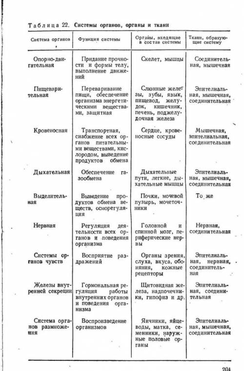 Виды и функции тканей человека биология 8 класс.