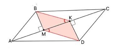 Из вершин b и d параллелограмма abcd проведены перпендикуляры bm и dk к диагонали ac.докажите,что че