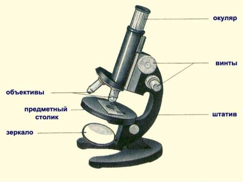 На рисуке подпишите части микроскопа. заполните таблицу. части прибора назначение