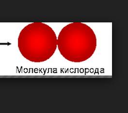 5класс. нарисуйте цветными карандашами модели молекул воды, кислорода, озона. как нарисовать?