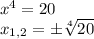 x^4=20\\x_{1,2}=б \sqrt[4]{20}