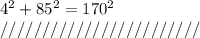 4^{2} + 85^{2}= 170^{2} \\ ////////////////////////