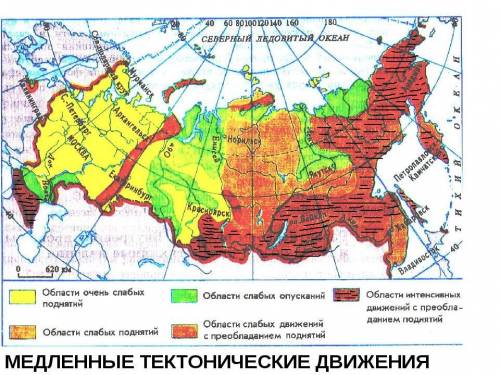 Сравните направленность и интенсивность новейших тектонических движений на трех платформах россии.от