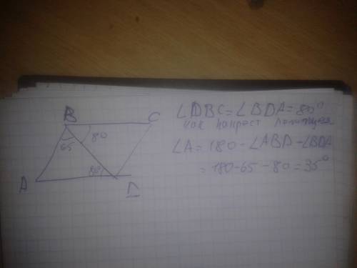 Диагональ bd параллелограмма abcd образует с его сторонами углы равные 65 и 80 градусов.найдите мень