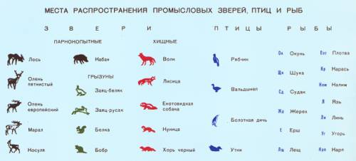 Условные обозначения групп животных: дикие лошади,антилопы,хомяки,суслики,мыши-половики,волки,лисицы