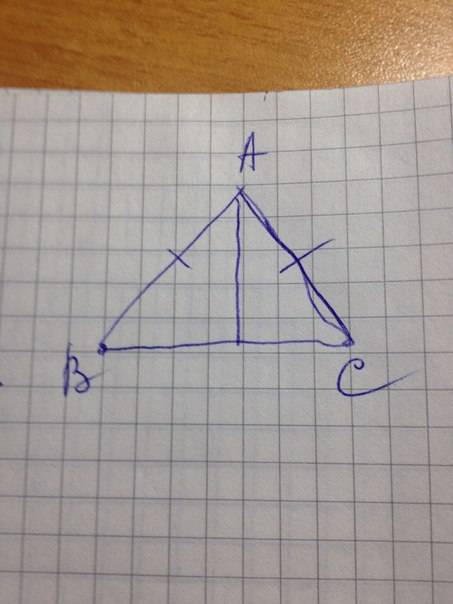 Начертите равнобедренный треугольник abc с основанием ac и острым углом b. с линейки проведите высот