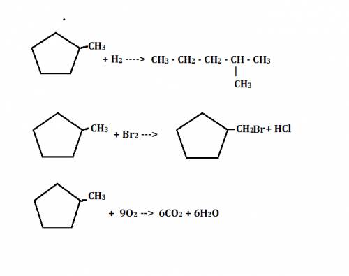 2-метилциклопентан. напишите реакции гидрирования,бромирования,горения