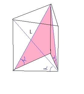 Решить ) диагональ боковой грани правильной треугольной призмы равна l и образует с плоскостью основ