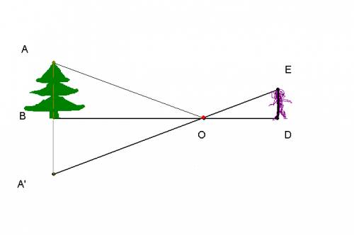 Как с плоского зеркала и знания собственного роста оценить примерную высоту городской елки ( формулы