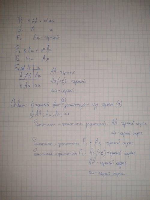 Чёрные овцы скрещены с серыми. в первом поколении все ягнята чёрные. какой цвет доминирует? какое во