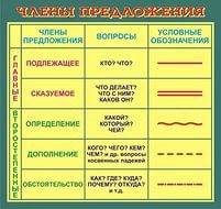 Мама принесла из магазина курицу. разобрать слово из магазина как часть речи.