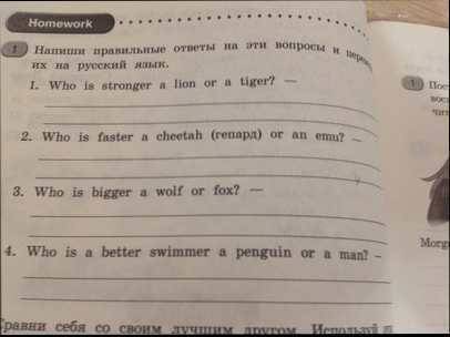 Напишите правильные ответы на эти вопросы и переведите их на язык. 1who is stroner a lion or a tiger