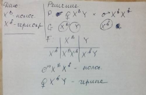 Укур ген полсатости оперения находится в х-хромосоме и доминантен (хв), рецессивный аллель обусловли