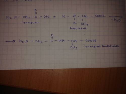 Написать уравнение реакции конденсации между алонином и глицином